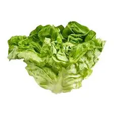 Salads Lettuce Boston Shell - ON (1 x 12)
