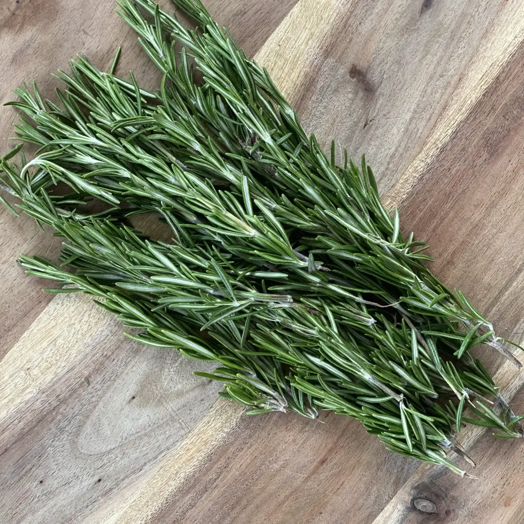 Herb Herb Rosemary - SAM (1 x 12)
