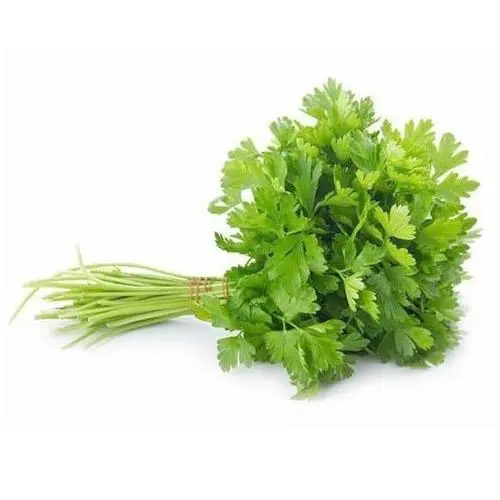 Mixed Green Coriander - TX (1 x 60)