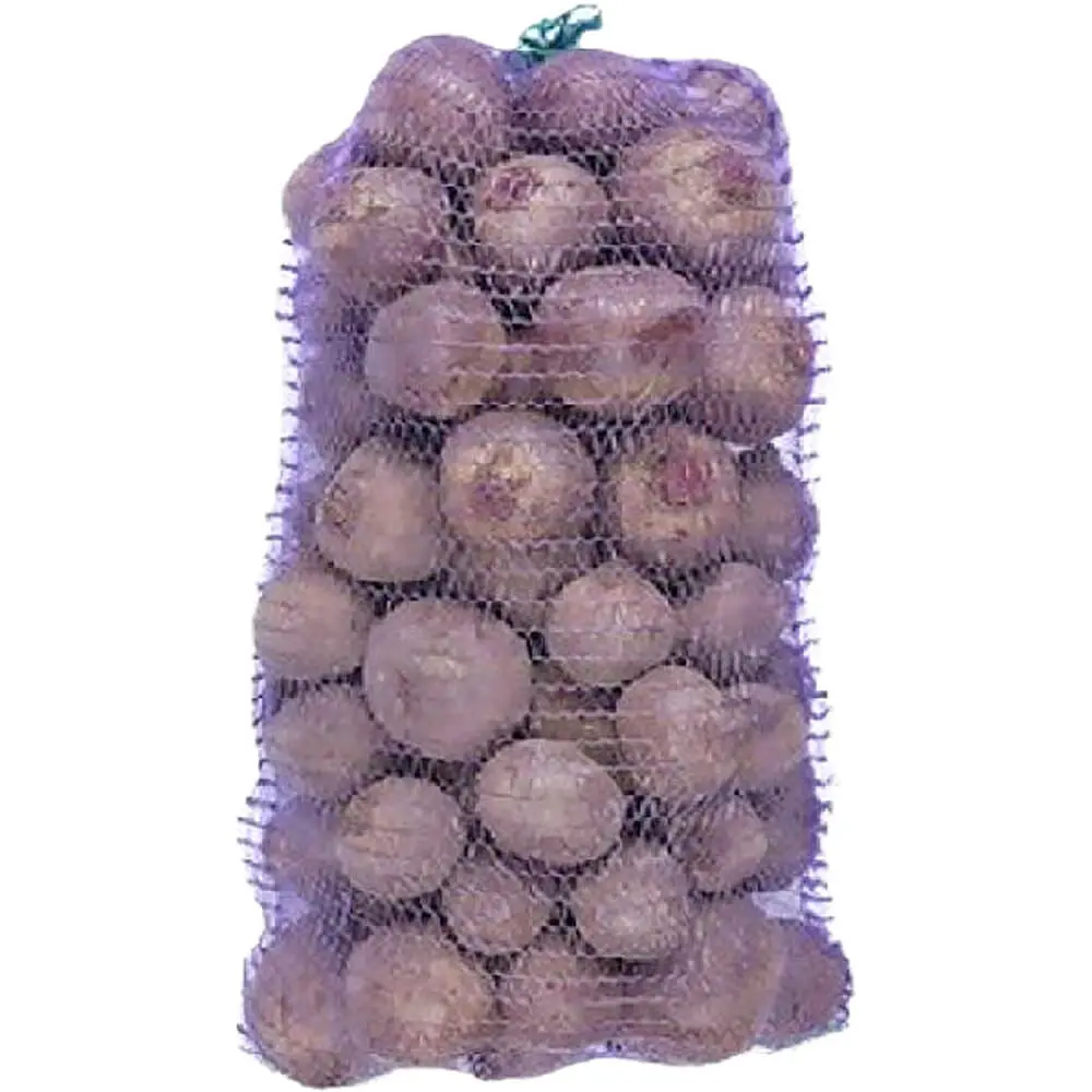 Beet Root Large ON (1 x 25lb)