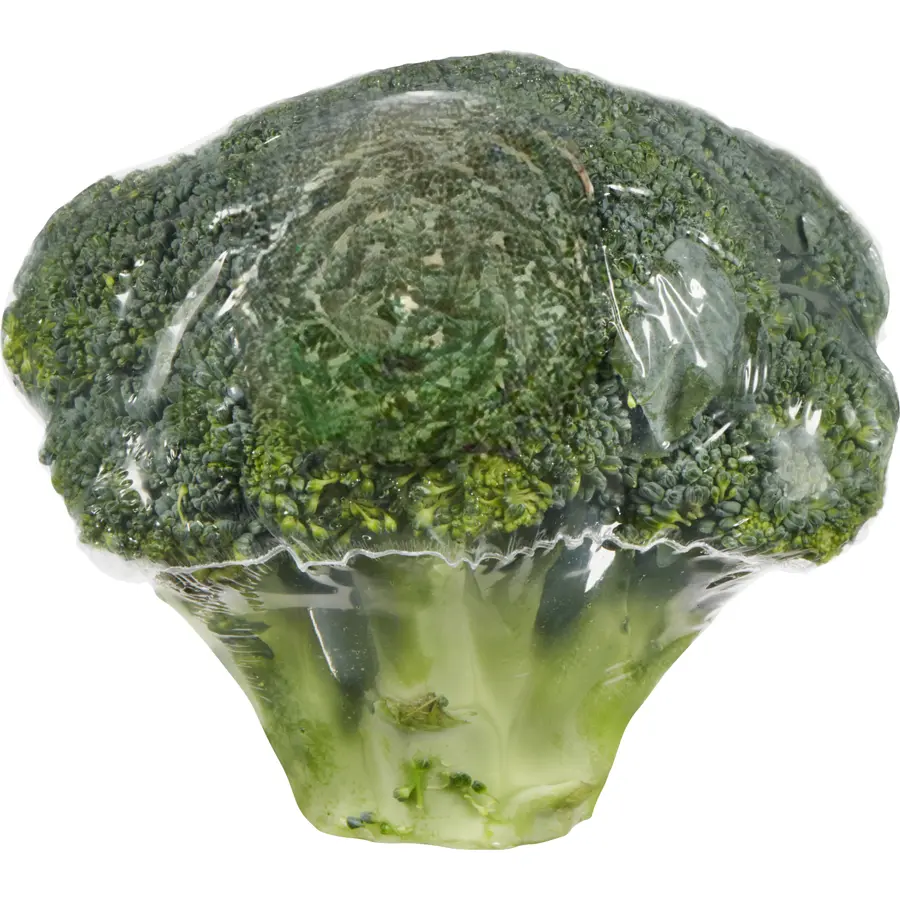 Broccoli 1 x 1
