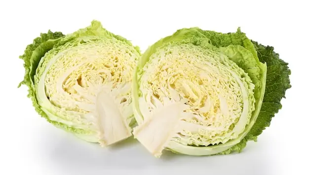 Cabbage Cabbage Savoy - ON (1 x 12)