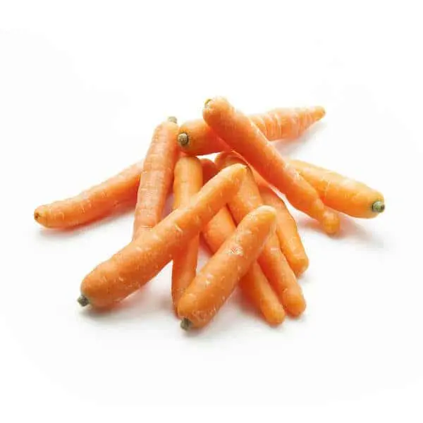 Carrot Mini  Carrot Mini  CAL (40 x 12oz)