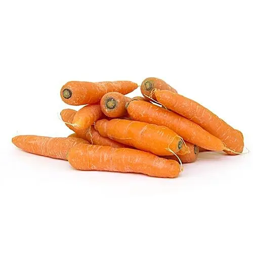 Carrot Mini  Carrot Mini Micro - CAL (12 x 12oz)