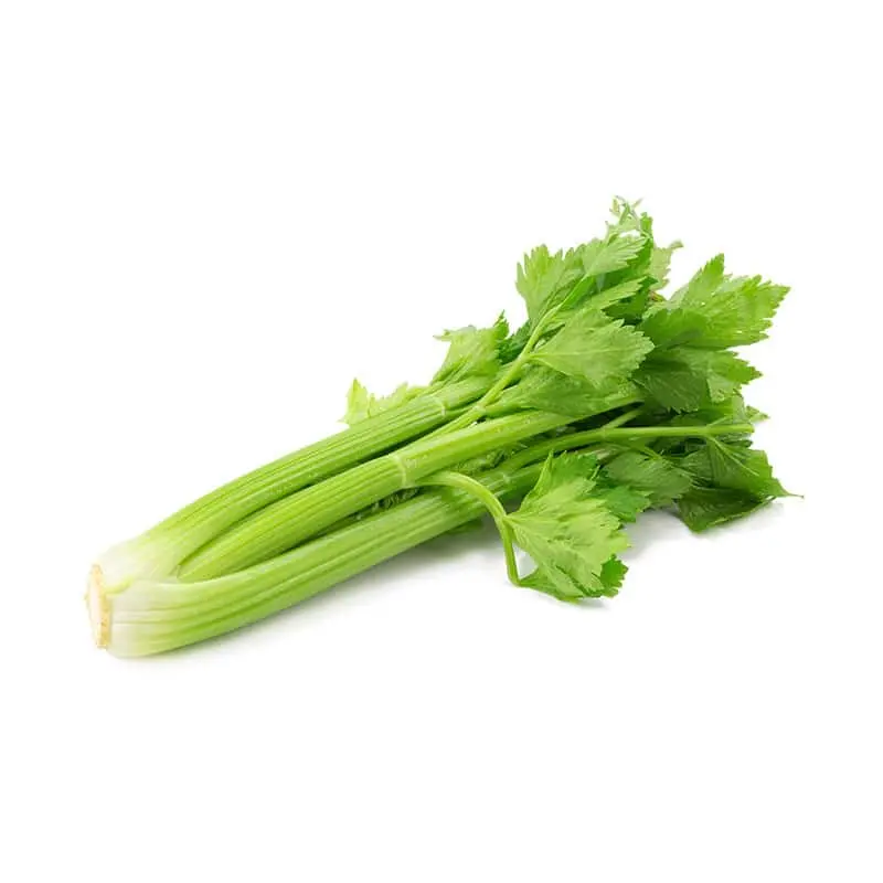 Celery Celery Sleeved - USA (1 x 30)