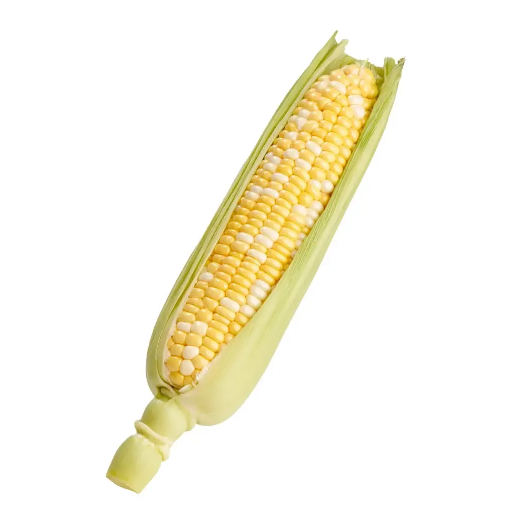 Corn Corn Yellow - USA (1 x 1)CORN-USA YELLOW CRT