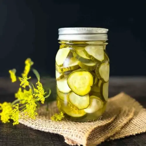 Cucumber Pickling - Dill Pickle - MX (1 x 1)