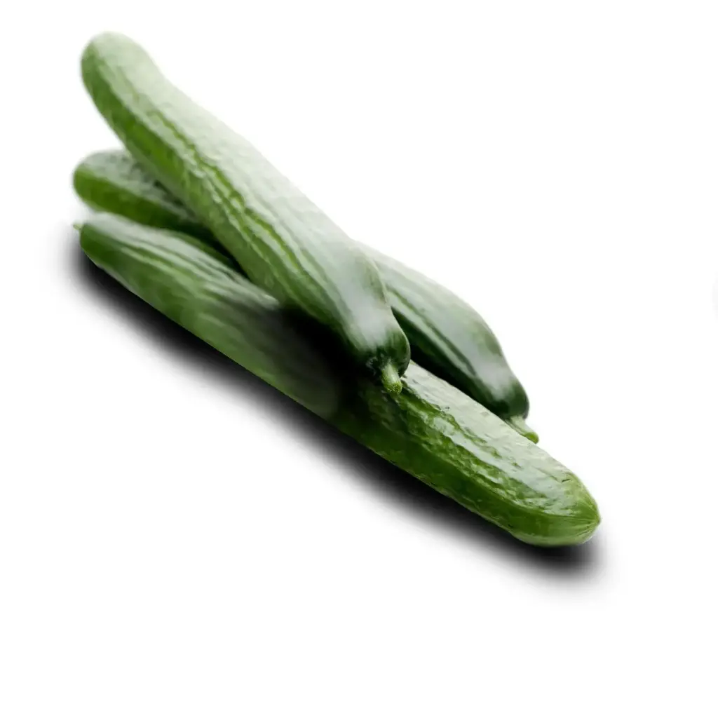 PCUC12 - Cucumber Large - ON -1 x 12