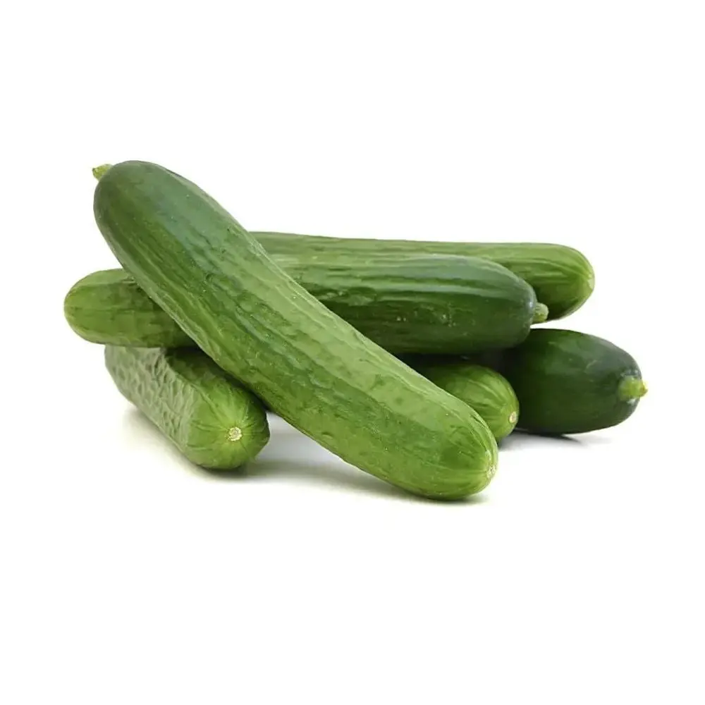 PCUCM - CUcumber -Medium - ON -1 x 12