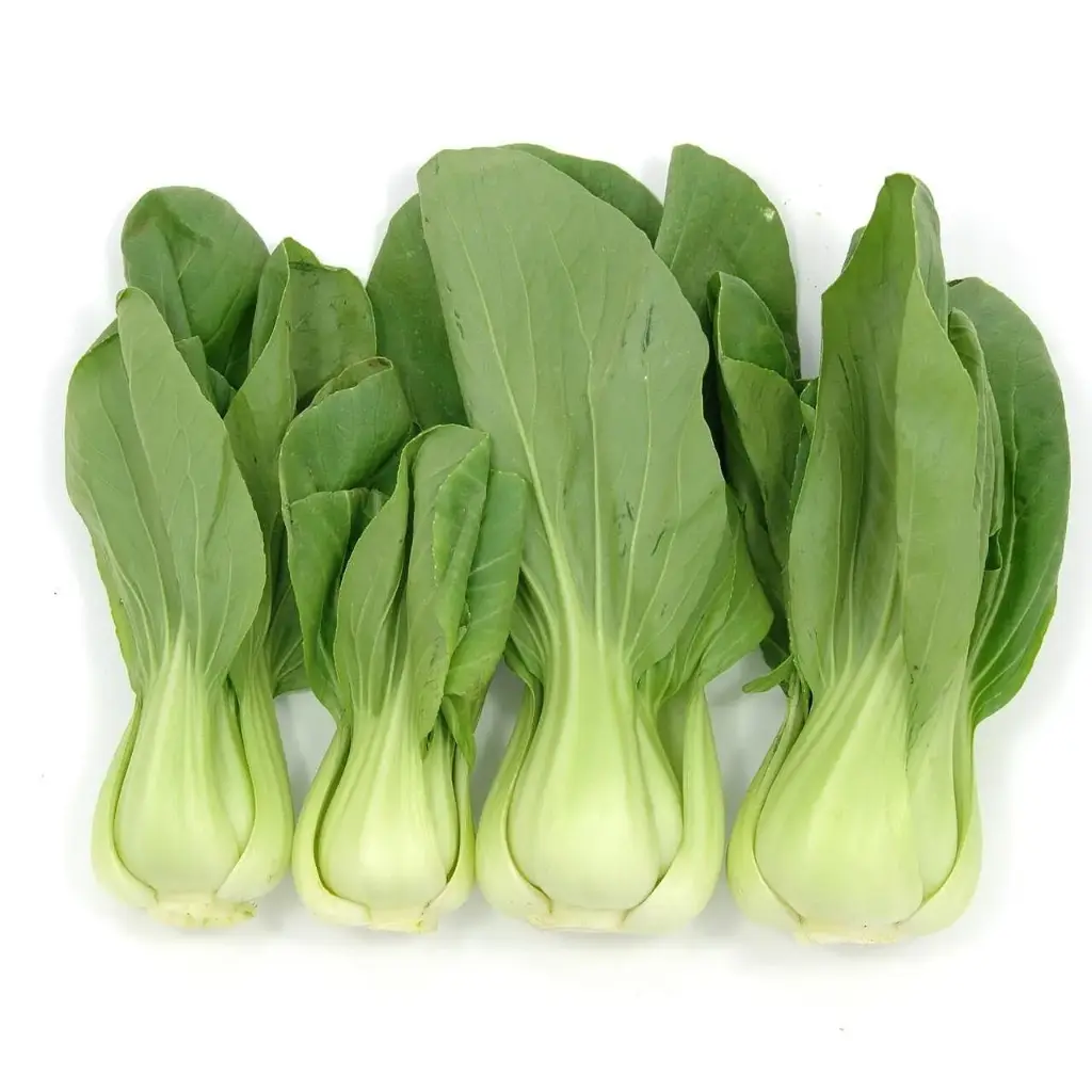 East Asia Bok Choy Shanghai - MX (1 x 30lb)