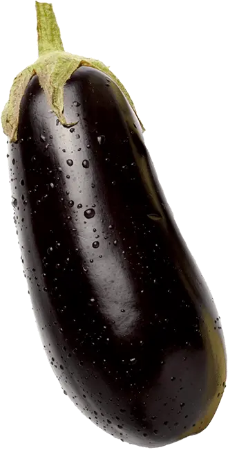 Eggplant Eggplant - SPA (1 x 5kg)