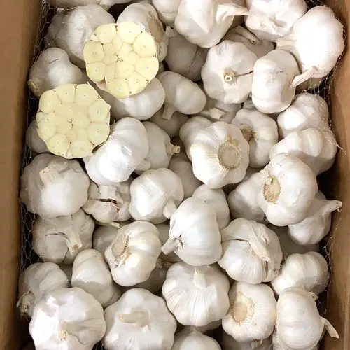 Garlic Loose 10x1KG