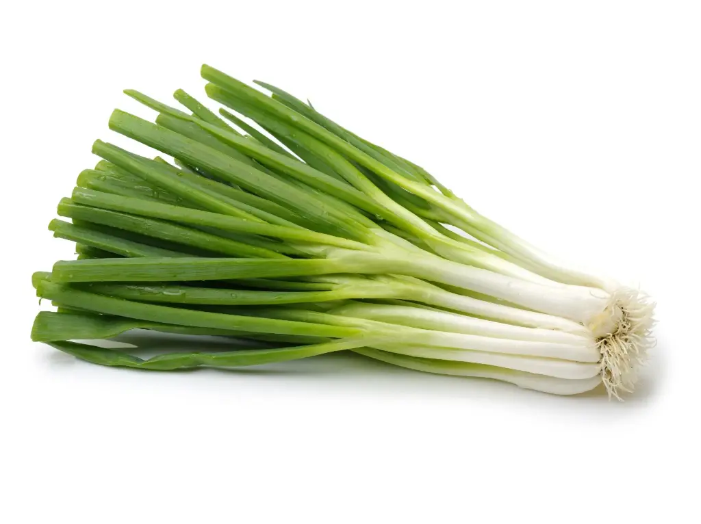 Green Onion Green Onion MX (1 x 1)