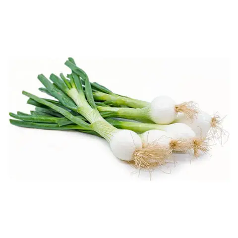 PONG48 - Green Onion 48CT