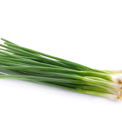 Green Onion Green Onion MX (24 x 1)