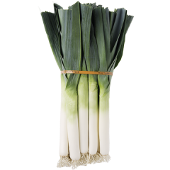 Leek - Leek - CAL (1 x 12)