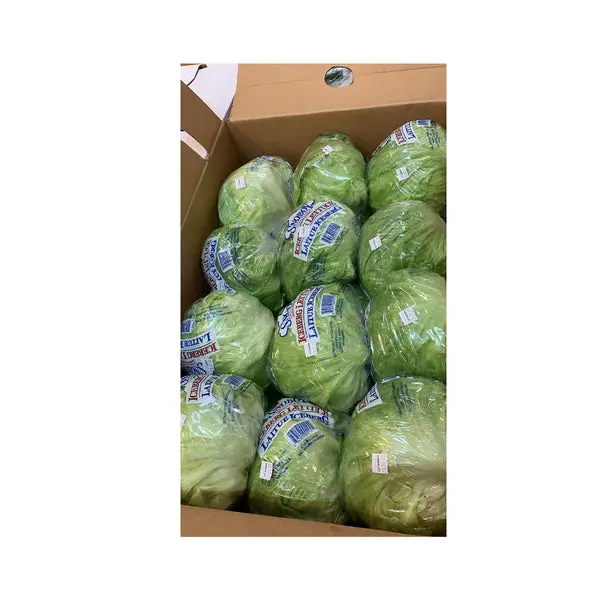 [PROD022-24] Fresh Head Lettuce Iceberg - 24 Ct - Case