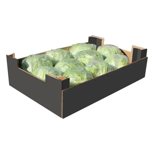 Lettuce Iceberg Lettuce TNA Cello - CAL (1 x 24)