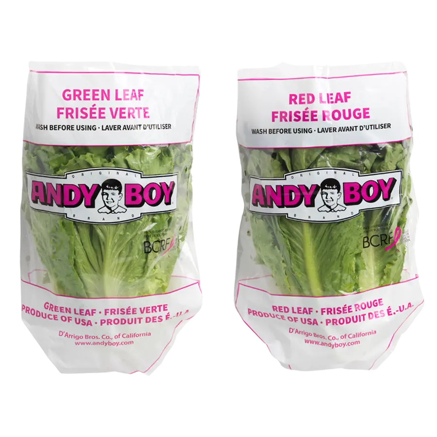 Lettuce Leaf Lettuce Green Andy Boy - CAL (1 x 24)