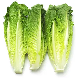 Lettuce Romaine Lettuce Romaine Heart TNA - CAL (12 x 3)