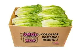 Lettuce Romaine Lettuce Romaine Dole - CAL (1 x 24)