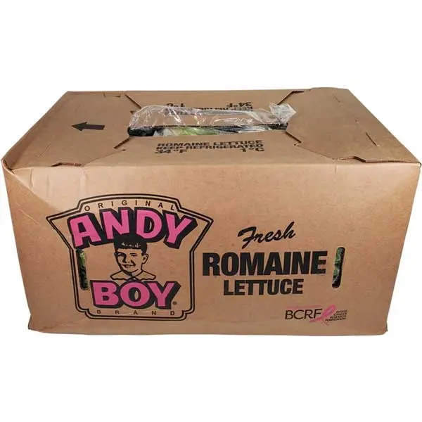 Lettuce Romaine Lettuce Romaine Andy Boy - CAL (1 x 24)