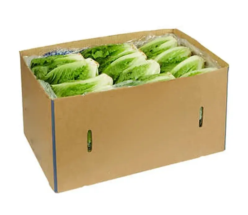 Lettuce Romaine Lettuce Romaine CAL (1 x 24)