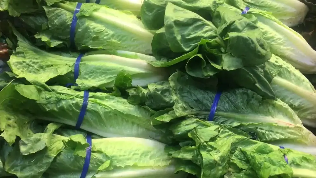 Lettuce Romaine Lettuce Romaine Heart - MX (12 x 3)