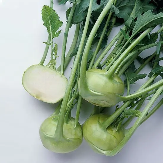 Mixed Green Kohlrabi - USA (1 x 12)KO