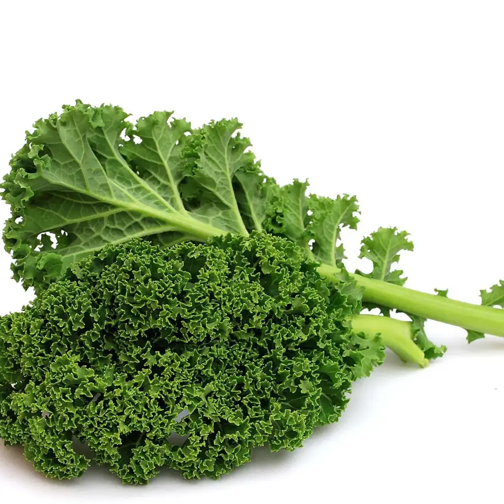 Mixed Green Kale Green - TX (1 x 24)