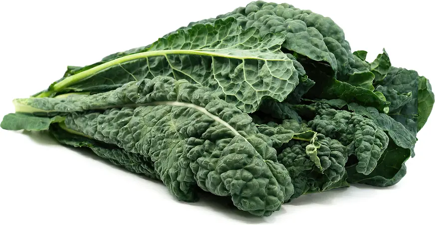 Mixed Green Kale Tuscan - USA (1 x 12)