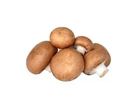 Fresh Portbello Mushroom ( Brown ) - ON -1 x 5lb- Case