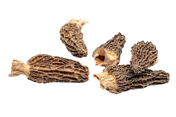 Mushroom Dried Mushroom Dry Morel - CA (6 x 14g)