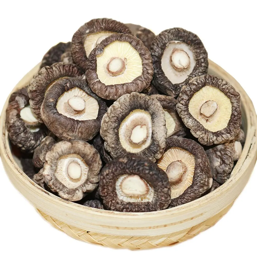 Mushroom Dried Mushroom Dry Shiitake - CHI (6 x 14g)