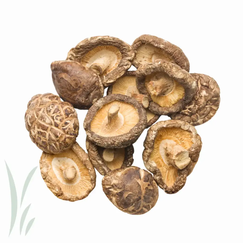 Mushroom Dried Mushroom Dry Shiitake - CHI (6 x 150g)