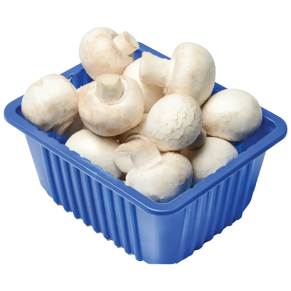 Mushroom Exotic Mushroom Cello White Honey - ON (6 x 150g)