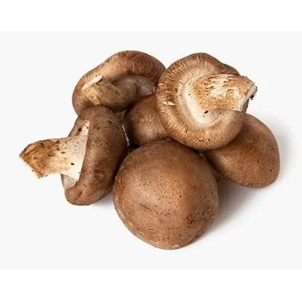 Mushroom Exotic Mushroom Cello Honey - ON (6 x 150g)