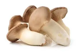 Mushroom Oyster Mushroom King Oyster - KOR (10 x 250g)