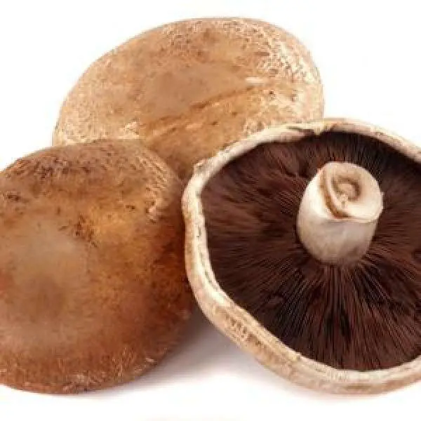 Fresh Portabellos Mushroom  - ON (1 x 5lb)- Case