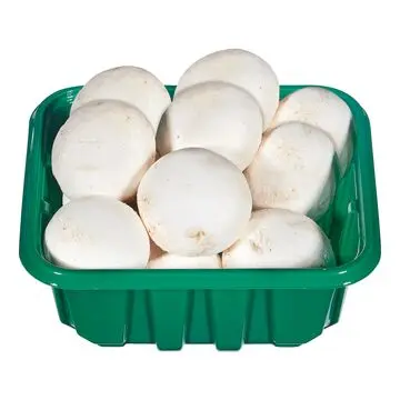 Mushroom White Mushroom Cello Sharon - ON (12 x 8oz)