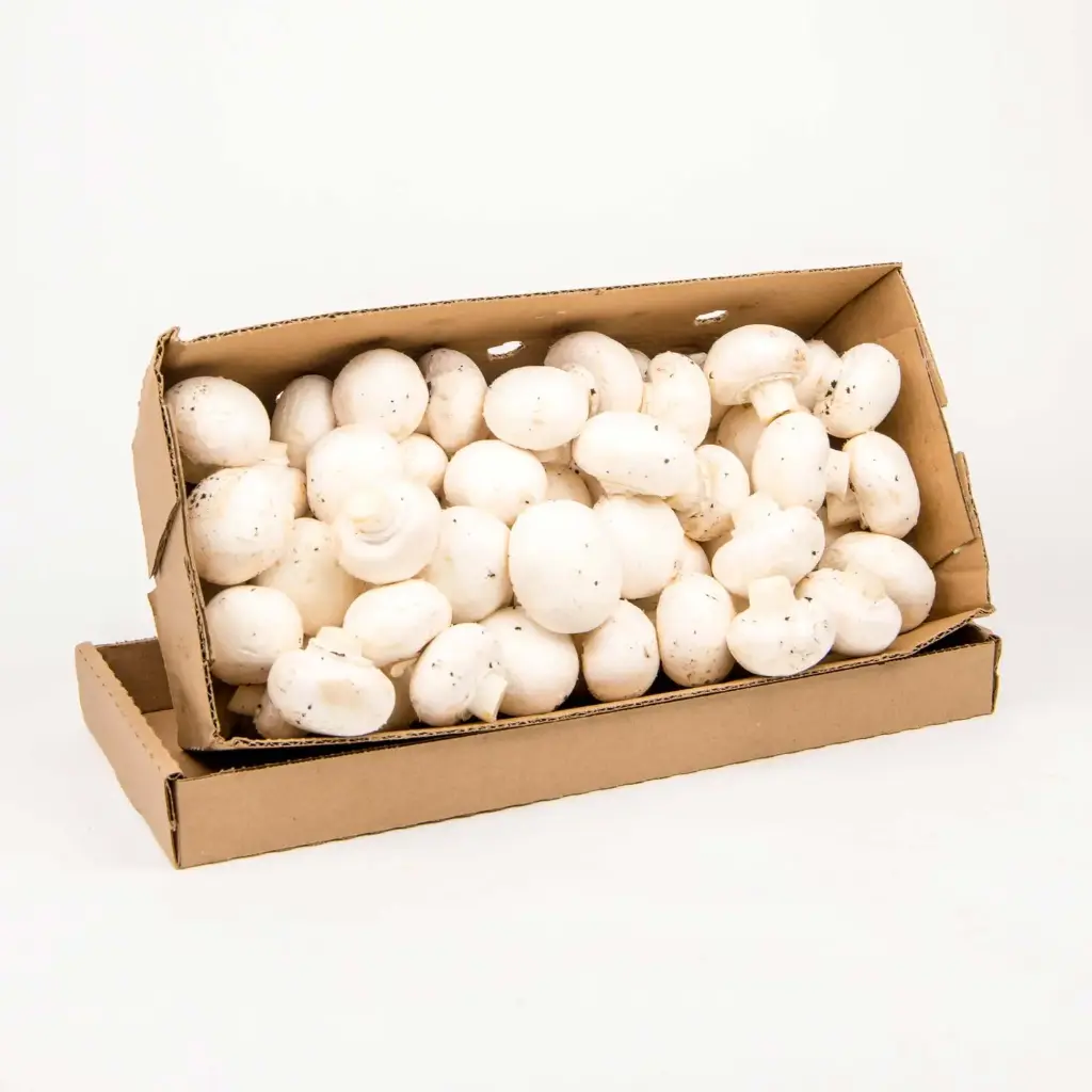 Mushroom White Mushroom #1 - ON (1 x 5lb)