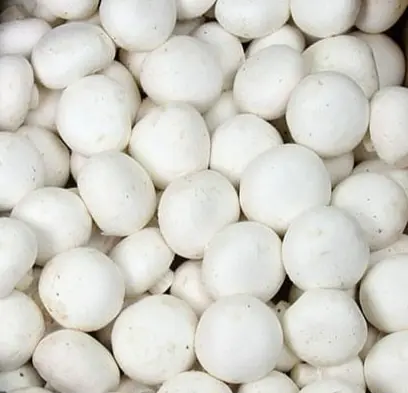 Mushroom White Mushroom Cello Sliced - ON (12 x 8oz)