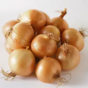 Onion Cooking Onion Cooking ON (10 x 5lb)