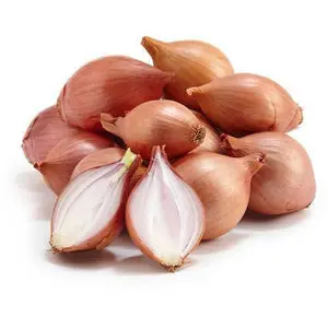 Onion Specialty Shallot - ON (1 x 10lb)