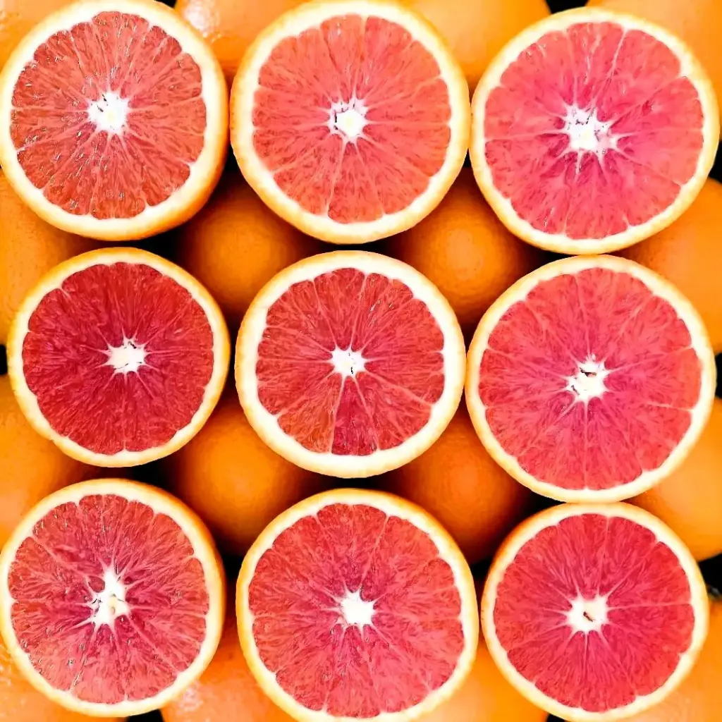 Orange Cara Cara Orange CARA Pink - CAL (1 x 56)