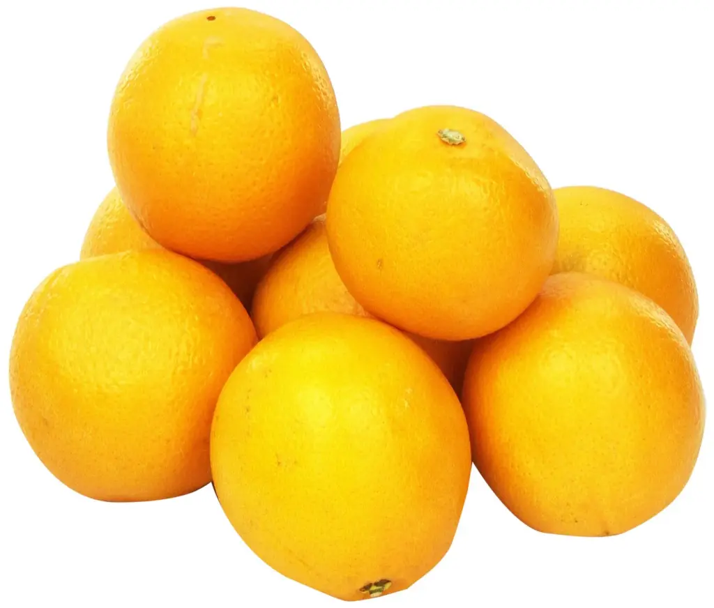 Orange Navel Orange NAV SKT Skyrocket - CAL (1 x 72)