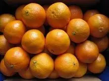 Orange Navel Orange NAV Suntreat FCY - CAL (1 x 48)