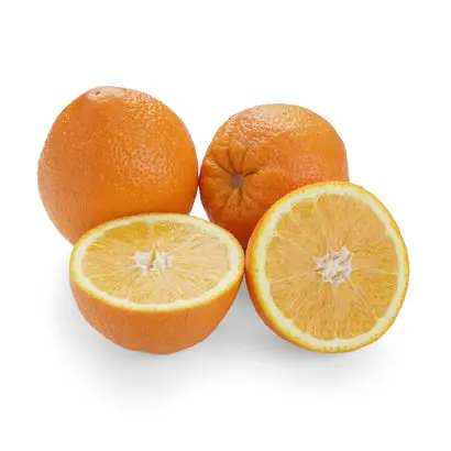 Orange Navel Orange NAV SKT Skyrocket - CAL (1 x 88)