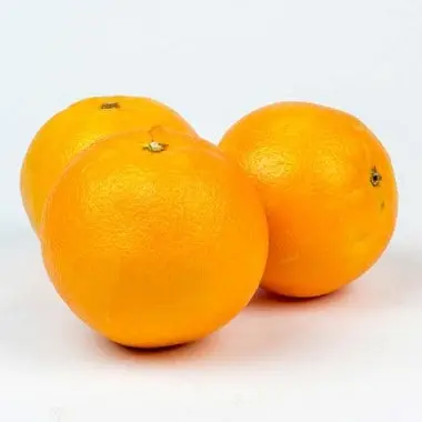 Orange Navel Orange NAV Pride - FL (1 x 48)