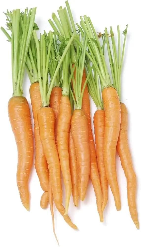 Organic Carrot Carrot Cello Organic - USA (12 x 2lb)